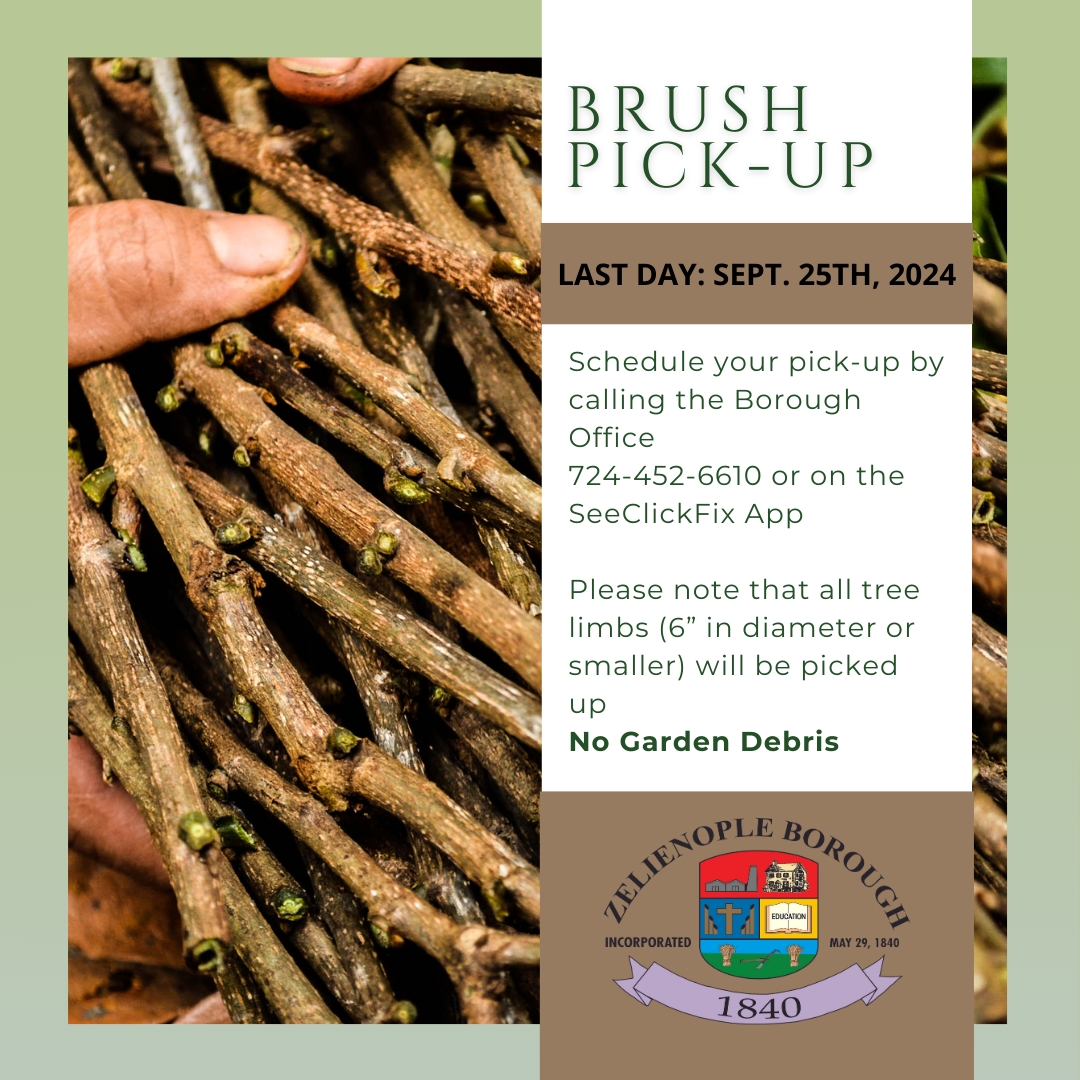 Brush Pick-Up